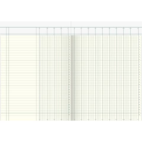 Spaltenbuch Kopfleisten-Ausführung - A4, 13 Spalte n, 40 Blatt, Schema über 2 Seite